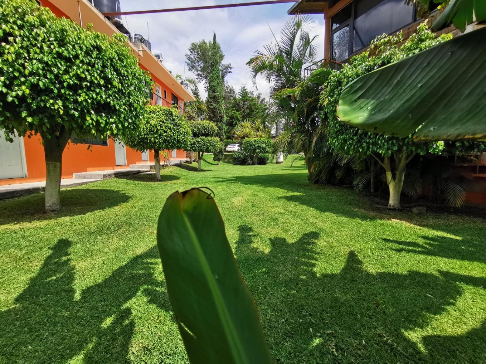 Hotel Quinta Ventura, Ixtapan De La Sal Dış mekan fotoğraf